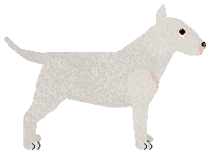 Blizzard LIGHTS UP! — “Bright”