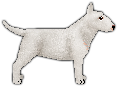 Profile image of Blizzard LIGHTS UP!