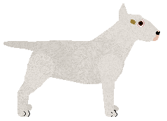 Kamvis' Southern Charm — “Dewey”