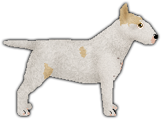 Profile image of Blizzard UNEXPECTED KISS