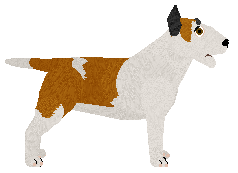 Blizzard SKY IS BURNING — “Dragon”