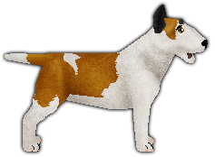 Profile image of Blizzard SKY IS BURNING