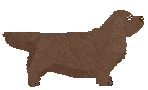 Aura's Daughter of Teleutas — “Tecmessa”