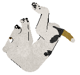 Vanilla's One Smooth Foxerator — “Ator”