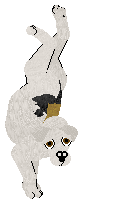 Vanilla's One Smooth Foxerator — “Ator”