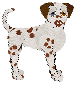 Sz's Sour Cherry — “Montmorency”