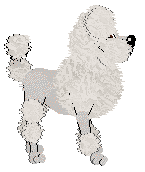 Geriatrix Champers Anyone — “Dido”