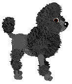 Geriatrix I Prefer Lambrini — “Borax”