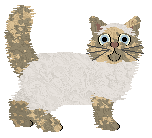 Parody Swan Lake — “Lucia”