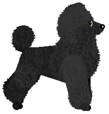 Geriatrix One Eye Open — “Ford”