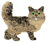 Parody Angel Eyes — “Xiu”