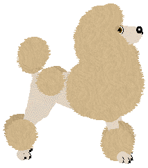 Geriatrix Mourning Dove — “Jaguar”