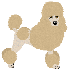 Profile image of Geriatrix Mourning Dove