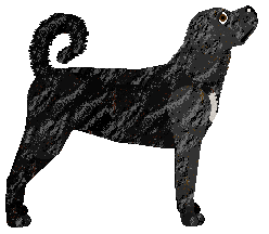 Rosestone's Talk When Told — “Speak”