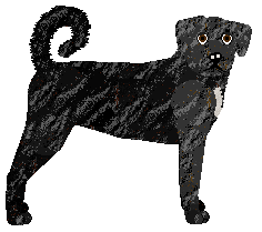 Profile image of Rosestone's Talk When Told