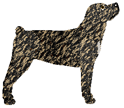 Rosestone's See No Sound — “See”