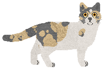 Mirror Blue's Coffee Queen — “Jiva”