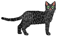 Mirror Blue's Light and Day — “Day”