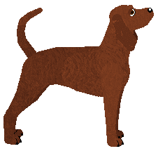 Mirror Blue's By the Mark — “Della”