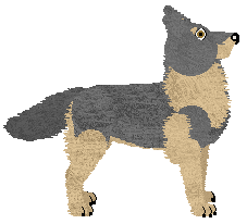 Mirror Blue’s All the Sadness in Your Soul — “Capek”