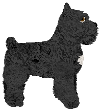 Geriatrix Waffle Jam — “Triggerfish”