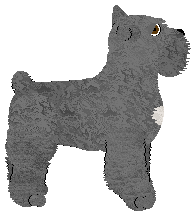 Geriatrix King Of The Cows — “Clownfish”