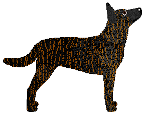 Cansas' Scream of Anger — “Malcom”