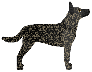 Ronja van Guardian — “Ronja”