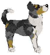 Geriatrix Market Street Chancer — “Del”