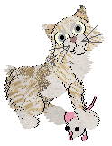 Calluna's Star of the Snow — “Stelmaria”