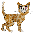 Smeuse/Calluna's Thirteen Ways of Looking — “Insight”