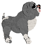 Poppyhill's Time to Galvanize — “Galveston”