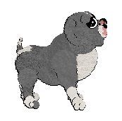 Profile image of Poppyhill's Time to Galvanize