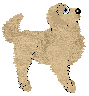 Sz/Poppyhill's Loony Tunes — “Tune”