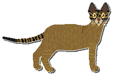 Profile image of Airship Monkey 47