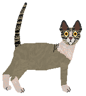 Airship Bombay Sapphire — “Connie”