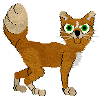 Pinto/Calluna's House of Sophisto — “Arabia”