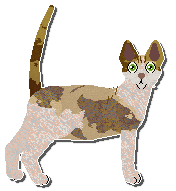 Profile image of Airship Whitley Neill