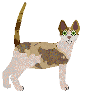 Airship Whitley Neill — “Marnie”