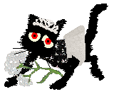 SeaGlass's Making You Stare Into The Darkness (Sorry) — “Niawa”