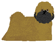 Profile image of Silkwitch Gossamer