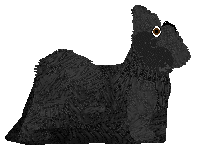 Silkwitch Taffeta — “Myth”