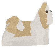 Silkwitch Satin — “Tale”