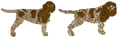 Profile image of Novablue Release Me