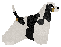 Energizing WINNER TAKES IT ALL — “Junior”