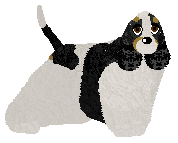 Profile image of Energizing WINNER TAKES IT ALL