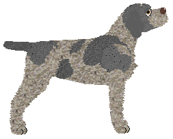 Energizing CATCH ME IF YOU CAN — “Sid”