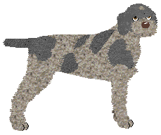 Profile image of Energizing CATCH ME IF YOU CAN