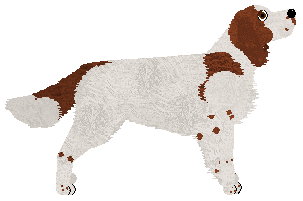 Rhapsody In Red at Gunhill — “Rogan”