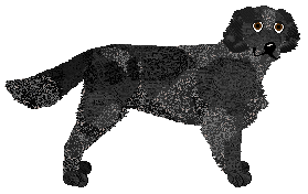 Profile image of Pins'n'Needles/Bermuda FABRYKA KOŚCI